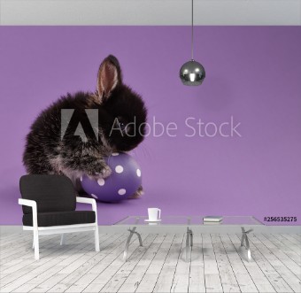 Picture of Easter bunny rabbit with egg on purple background